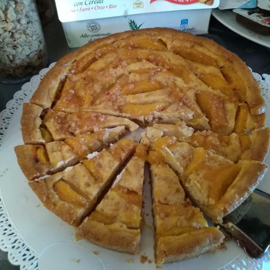 Casa Verde Belluno Mel 外观 照片